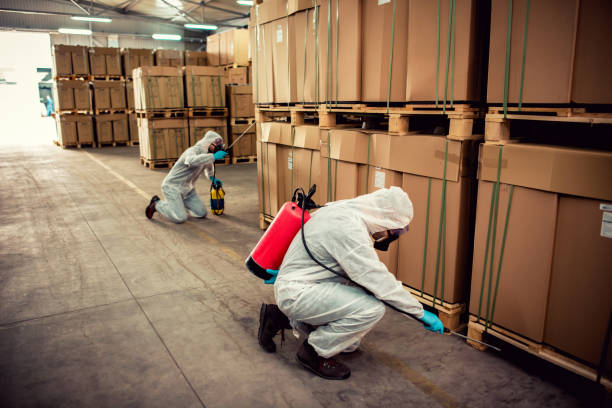 Best Exterminator Services  in Manitou Springs, CO
