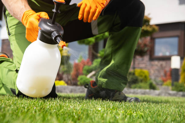 Best Insect Control  in Manitou Springs, CO