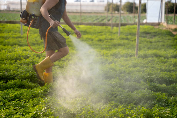 Best Commercial Pest Control Services  in Manitou Springs, CO