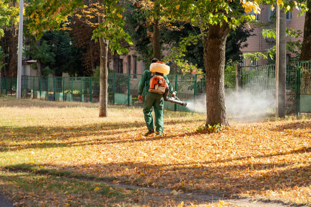 Best Cockroach Control Services  in Manitou Springs, CO